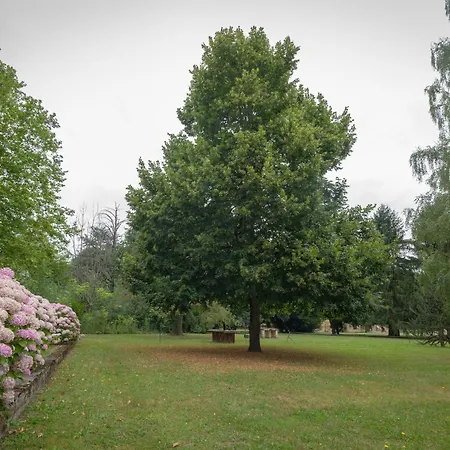 Un Jardin Au Coeur De Luchon Daire